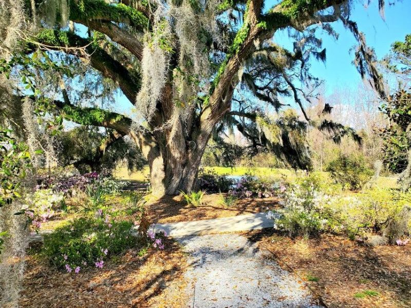 1914 Chatelain Way Photo 16