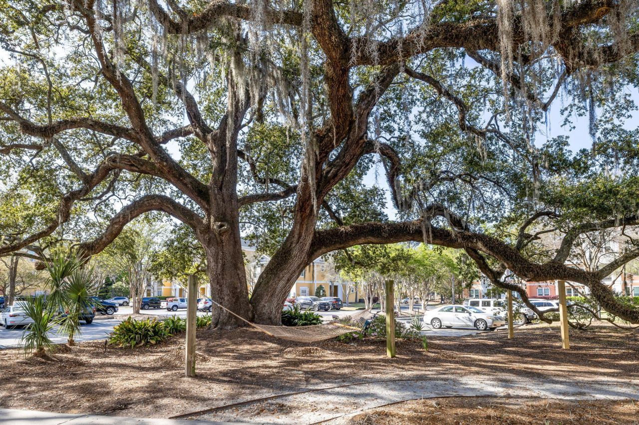 1914 Chatelain Way Photo 4