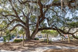 1914 Chatelain Way photo 4