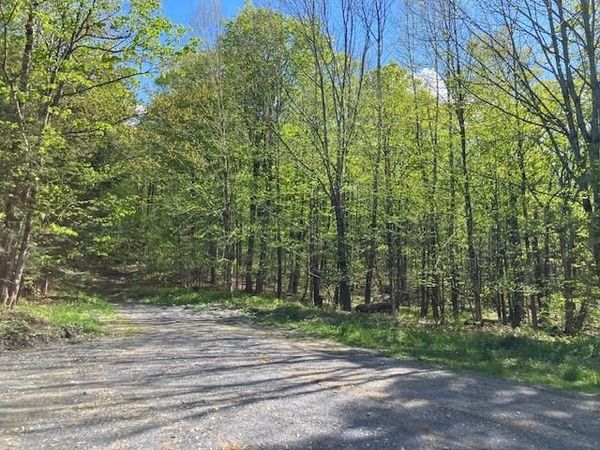 00 Bill T Drive, Readsboro, VT 05350