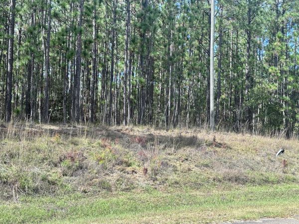 Lot D12 East Bay Dr, Lumberton, MS 39455