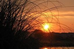 280 Driftwood Lane photo 4