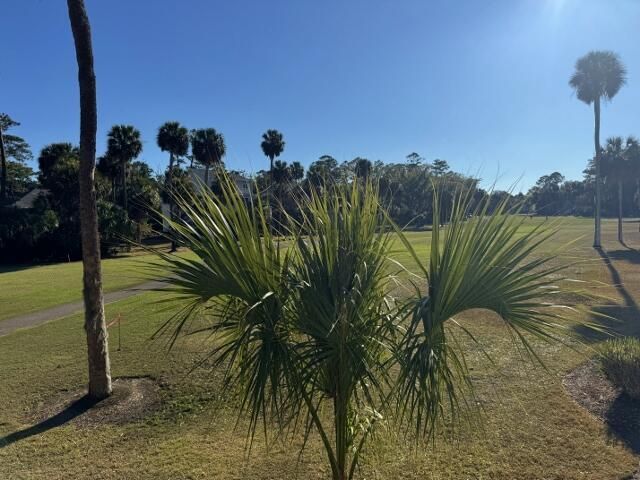 280 Driftwood Lane Photo 20