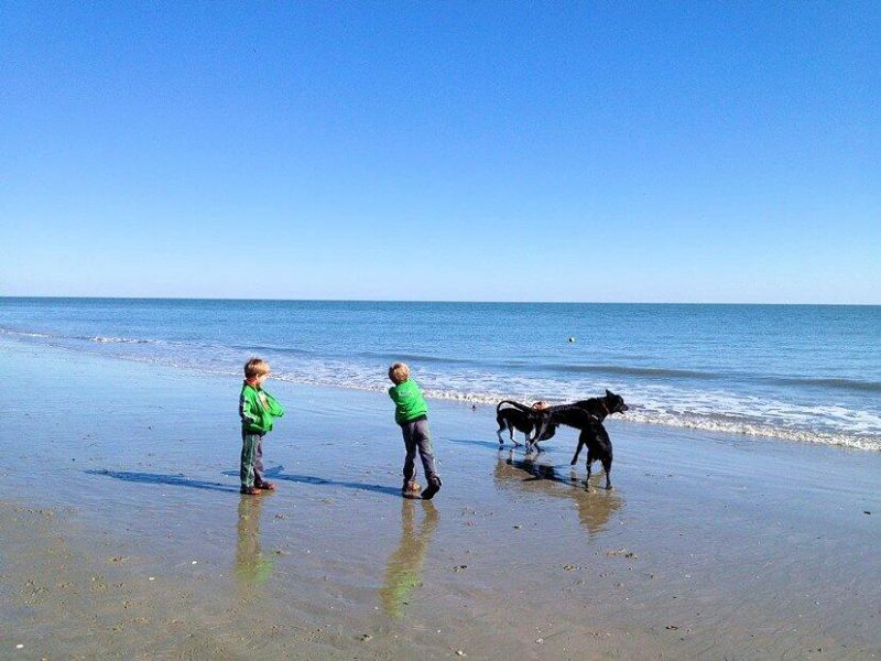 280 Driftwood Lane Photo 51