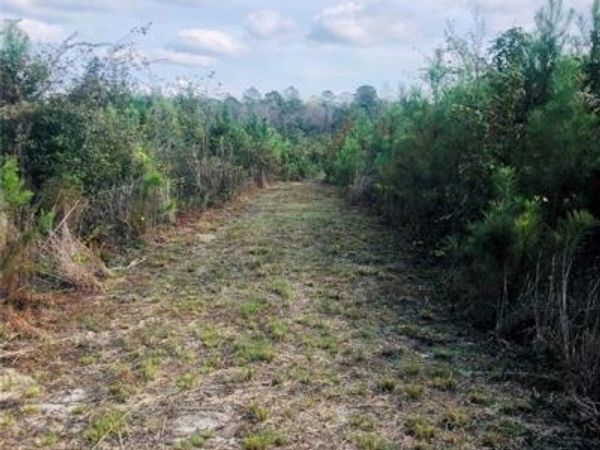 0 Thompson Road, Stockton, AL 36579