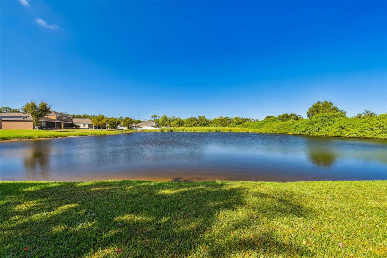 1110 Lauren Manor Loop, Ruskin, FL 33570 Photo