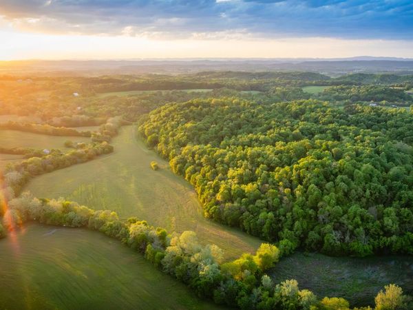 4045 S Mohawk Road, Mohawk, TN 37810