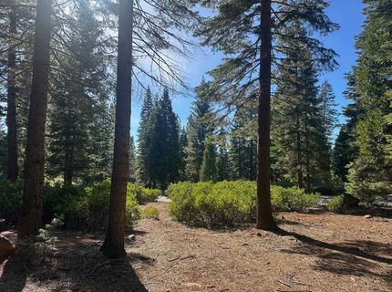 67 Foxhollow Drive, Lake Almanor, CA 00000 Photo