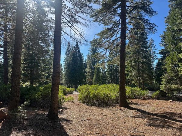 67 Foxhollow Drive, Lake Almanor, CA 00000