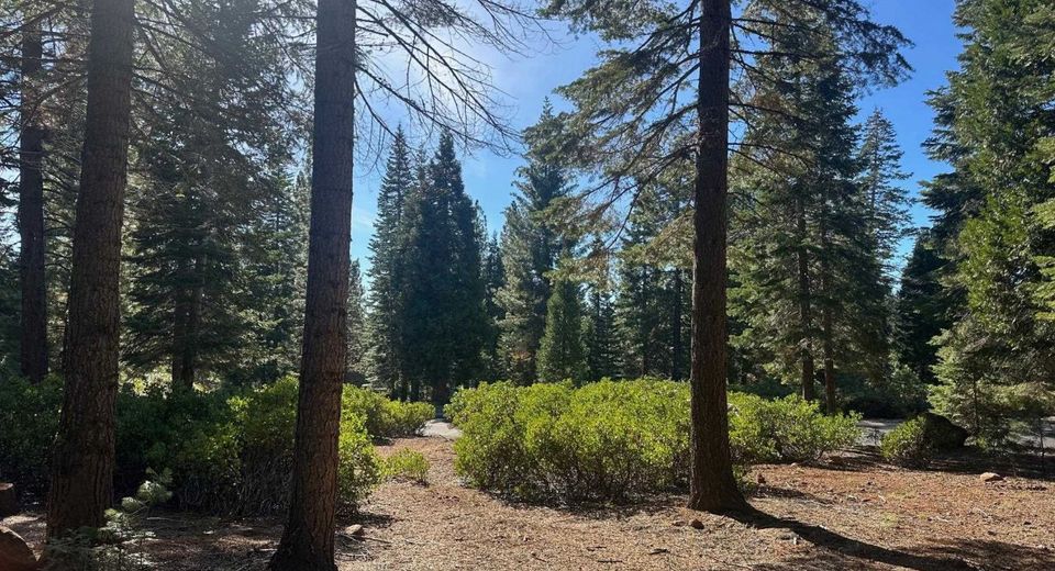 67 Foxhollow Drive, Lake Almanor, CA 00000 Photo