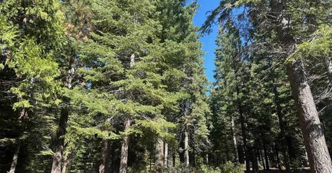 67 Foxhollow Drive, Lake Almanor, CA 00000 Photo