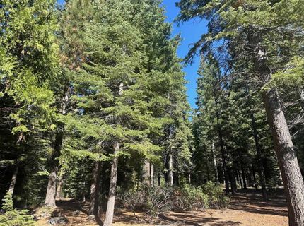 67 Foxhollow Drive, Lake Almanor, CA 00000 Photo