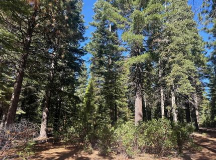 67 Foxhollow Drive, Lake Almanor, CA 00000 Photo