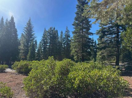67 Foxhollow Drive, Lake Almanor, CA 00000 Photo
