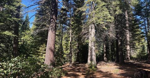 67 Foxhollow Drive, Lake Almanor, CA 00000 Photo