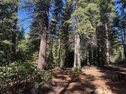 67 Foxhollow Drive, Lake Almanor, CA 00000 Photo