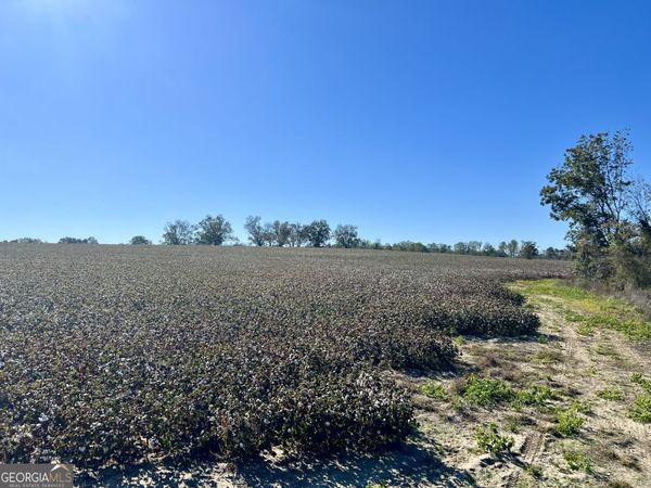 0 Bowen Hill Road, Garfield, GA 30425