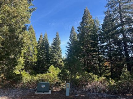 7 Silver Pine Road, Lake Almanor, CA 00000 Photo
