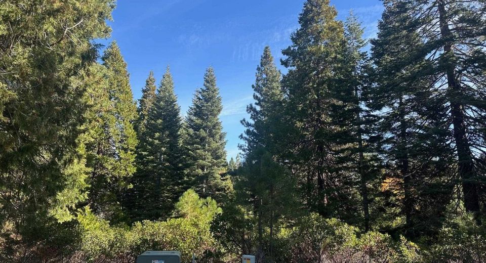 7 Silver Pine Road, Lake Almanor, CA 00000 Photo