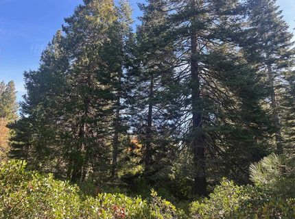 7 Silver Pine Road, Lake Almanor, CA 00000 Photo