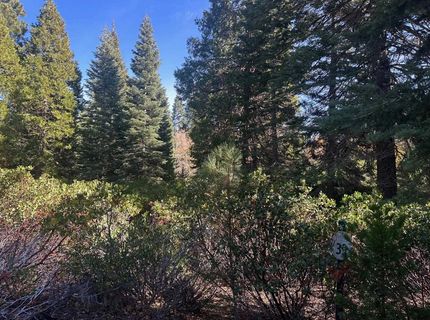7 Silver Pine Road, Lake Almanor, CA 00000 Photo