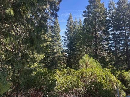 7 Silver Pine Road, Lake Almanor, CA 00000 Photo