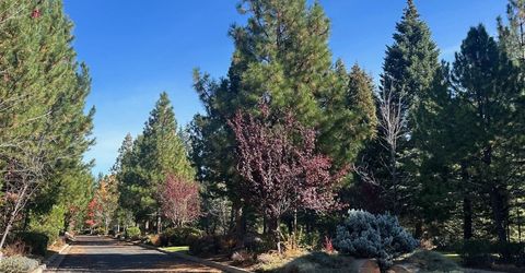 7 Silver Pine Road, Lake Almanor, CA 00000 Photo