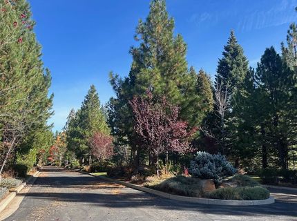 7 Silver Pine Road, Lake Almanor, CA 00000 Photo