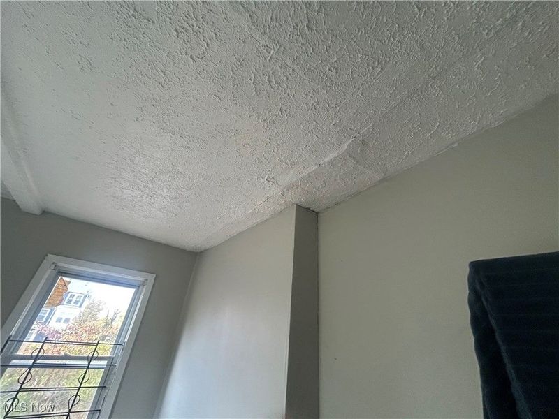 2292 E 90th Street, Cleveland, OH 44106 Photo 10