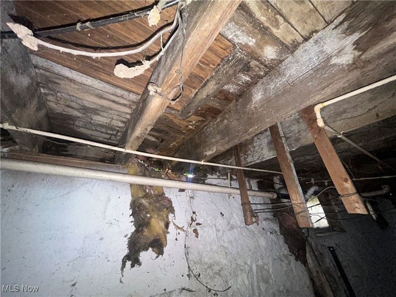 2292 E 90th Street, Cleveland, OH 44106 Photo 27