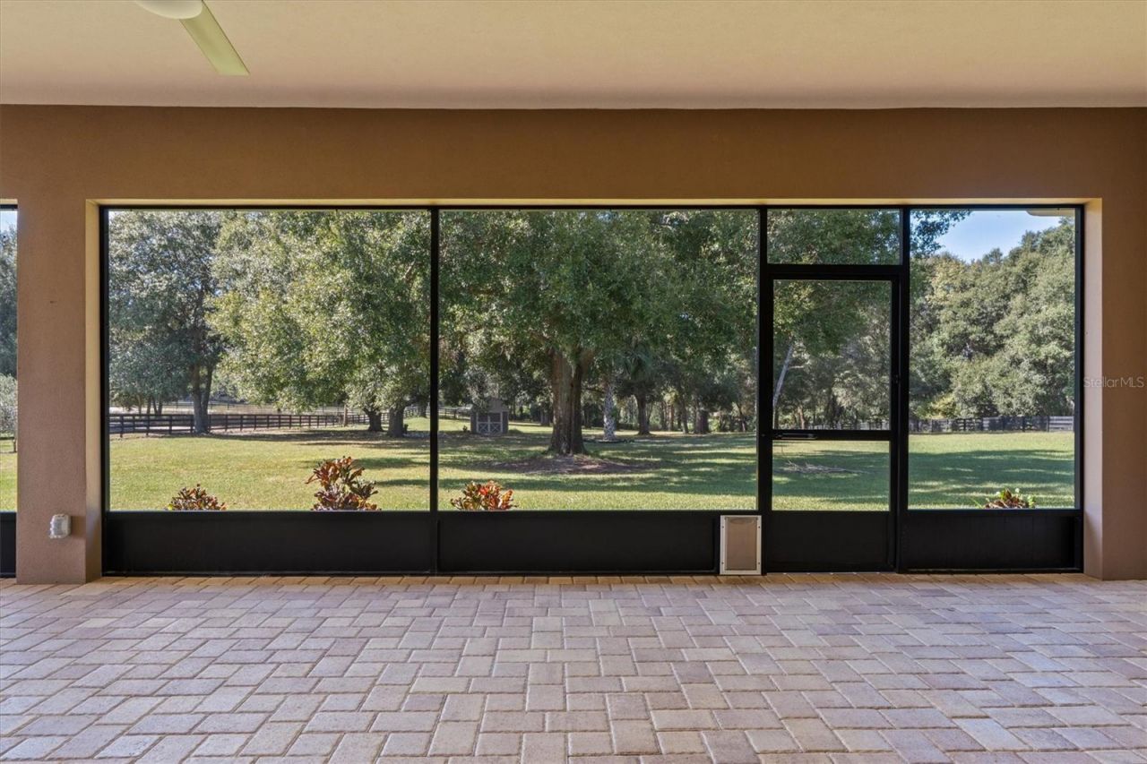 35603 Seneca Reserve Drive, Eustis, FL 32736 Photo