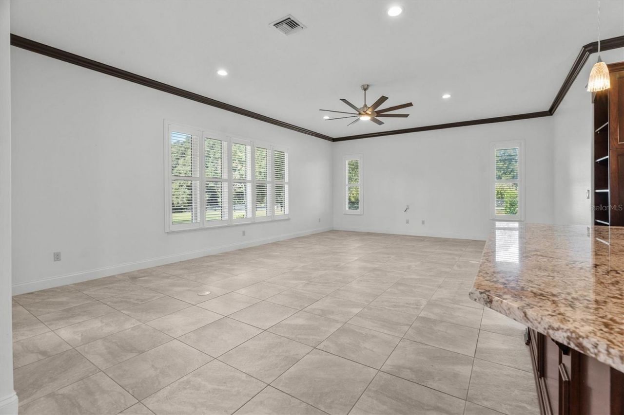 35603 Seneca Reserve Drive, Eustis, FL 32736 Photo