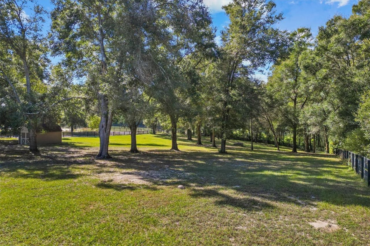 35603 Seneca Reserve Drive, Eustis, FL 32736 Photo