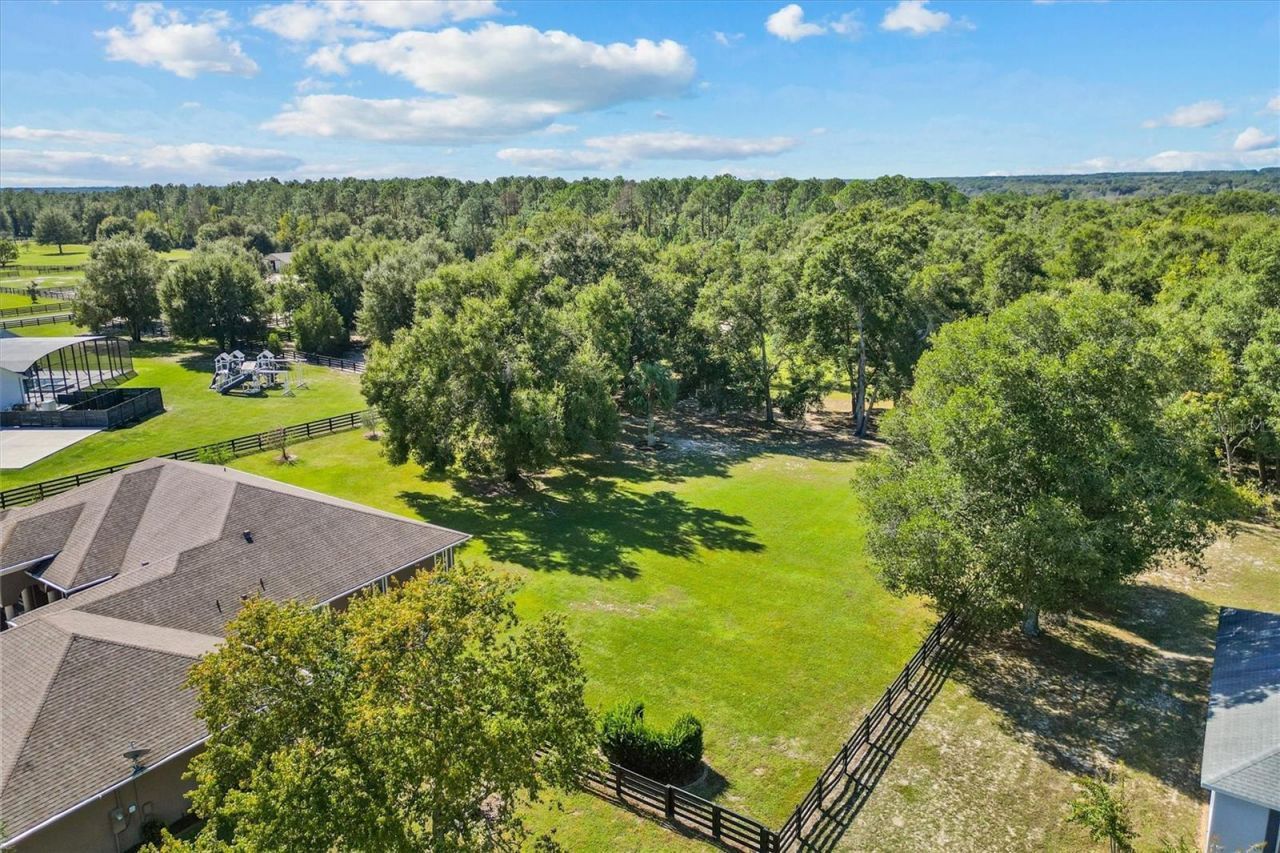 35603 Seneca Reserve Drive, Eustis, FL 32736 Photo