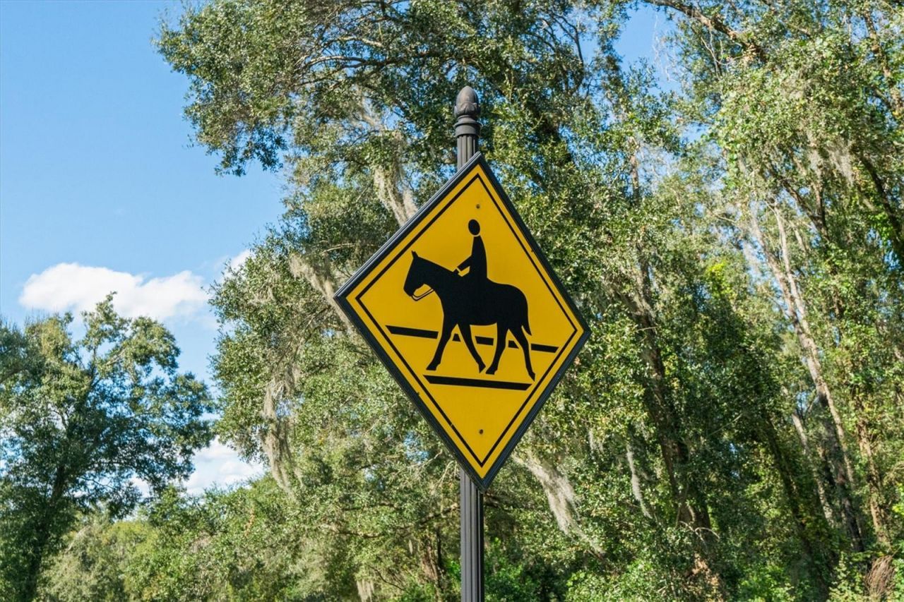 35603 Seneca Reserve Drive, Eustis, FL 32736 Photo