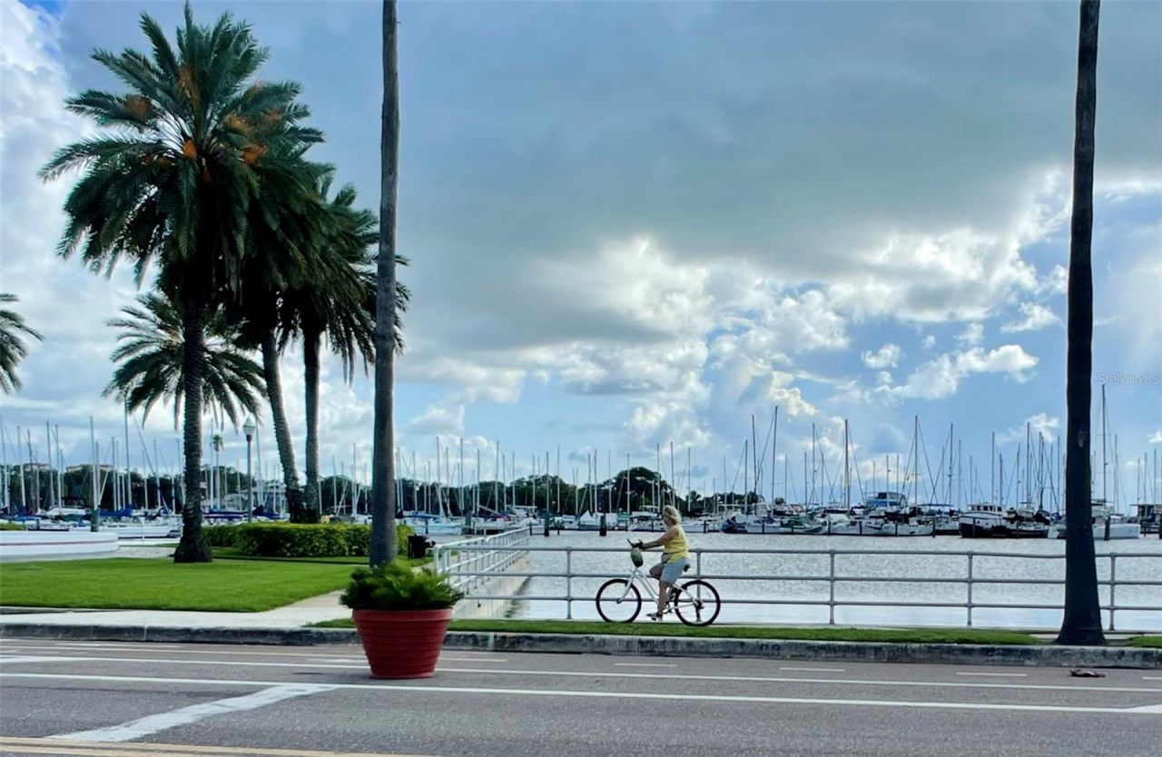 600 3rd Avenue S, Unit 410, Saint Petersburg, FL 33701 Photo