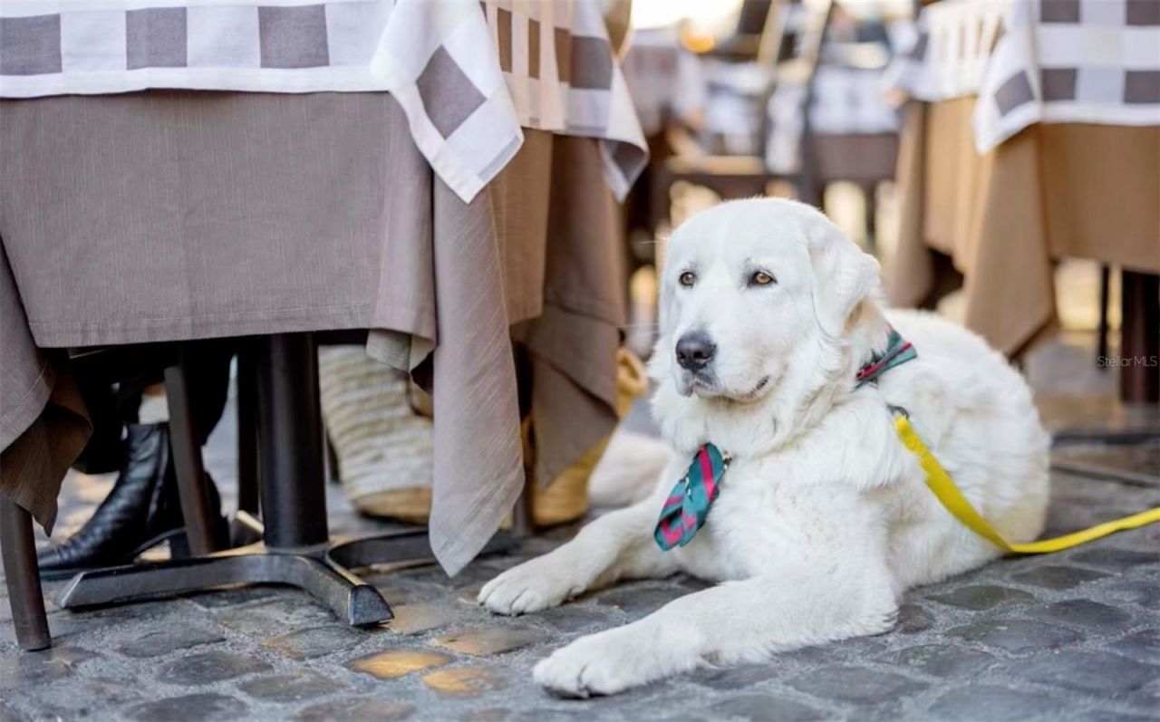 600 3rd Avenue S, Unit 410, Saint Petersburg, FL 33701 Photo