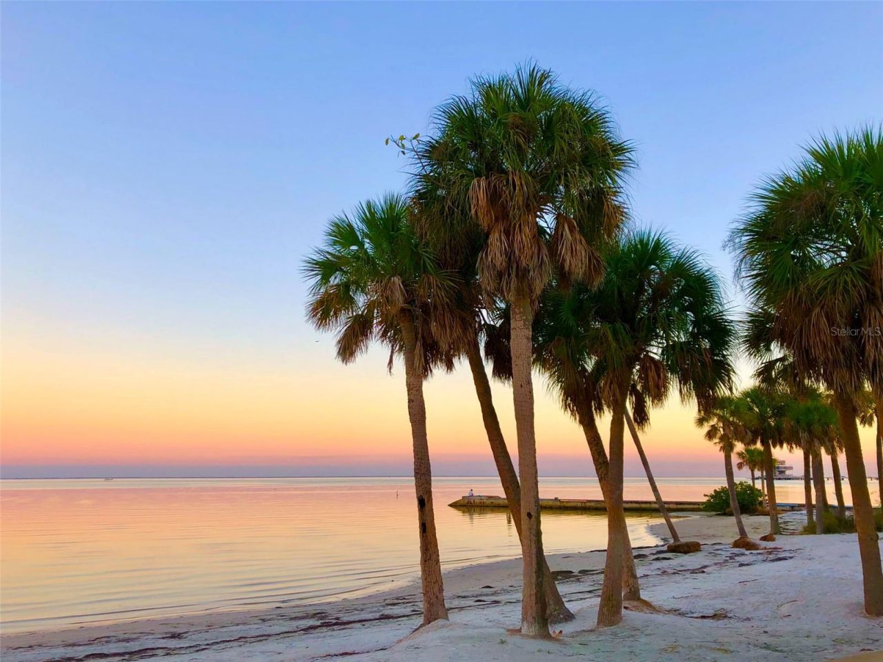 600 3rd Avenue S, Unit 410, Saint Petersburg, FL 33701 Photo