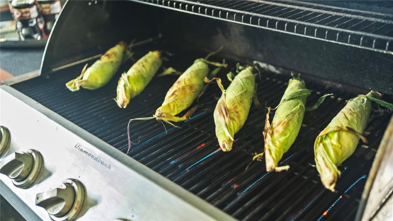 2995 Thomas Lane, North Port, FL 34286 Photo