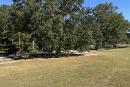 109 Hillock Court photo 4