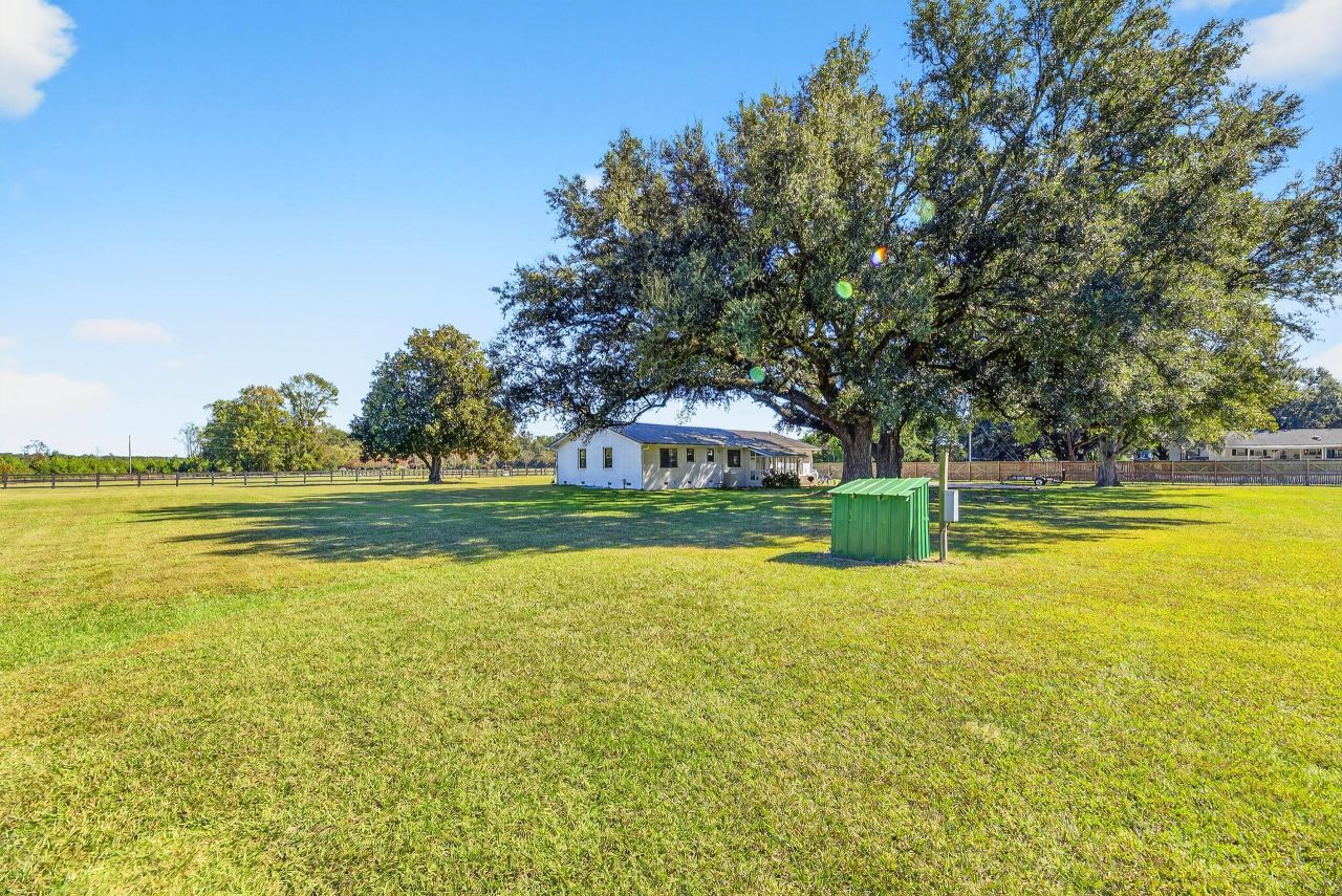 294 Nates Store Road Photo 26