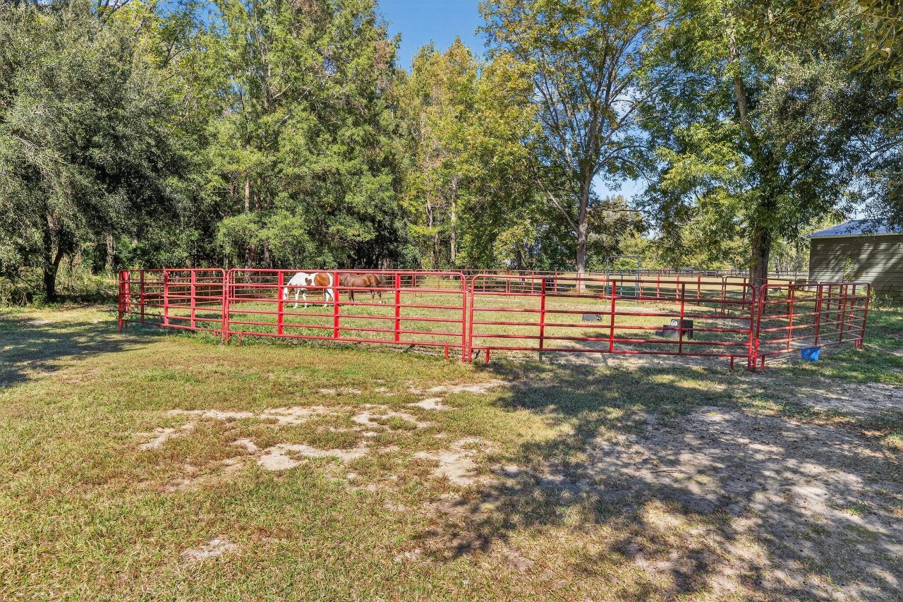 294 Nates Store Road Photo 29