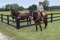 294 Nates Store Road photo 4