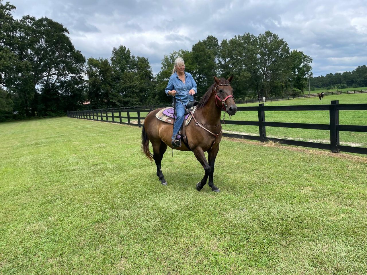 294 Nates Store Road Photo 39