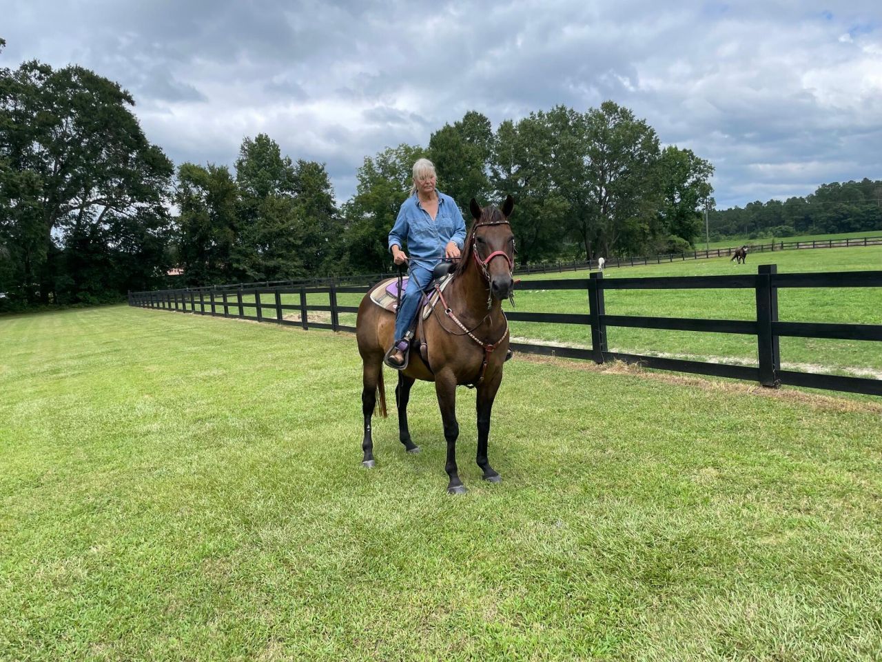 294 Nates Store Road Photo 46