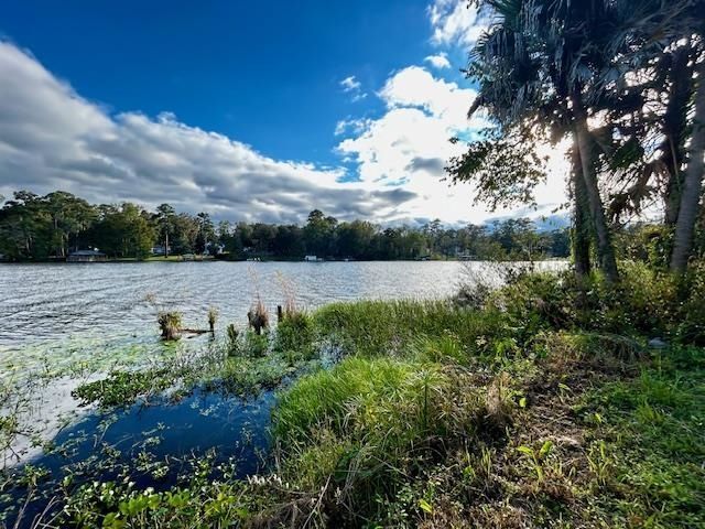 18835 Star Hill Lane, Tallahassee, FL 32310 Photo