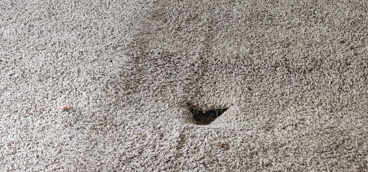 5951 Westwood Road, Clay Hill, FL 32234 Photo