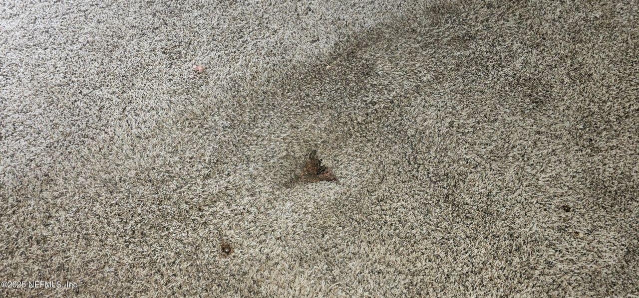 5951 Westwood Road, Clay Hill, FL 32234 Photo