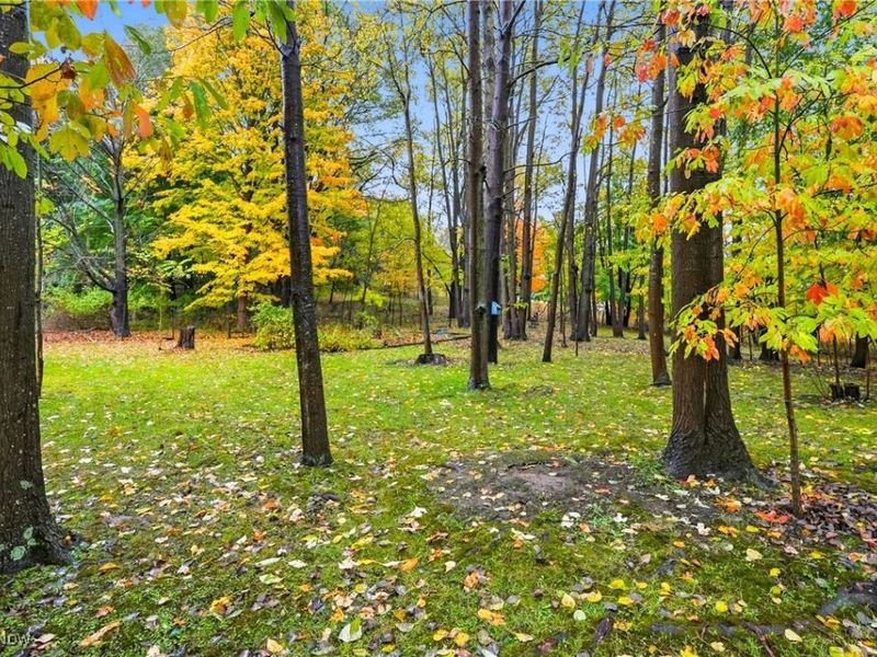 2355 Martin Road, Mogadore, OH 44260 Photo 6