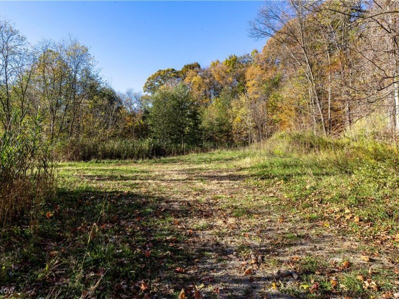 3339 Yellow Creek Road, Bath, OH 44333 Photo 1